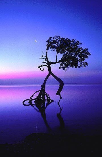 “It’s not the love of one person that matters it’s the love of life”