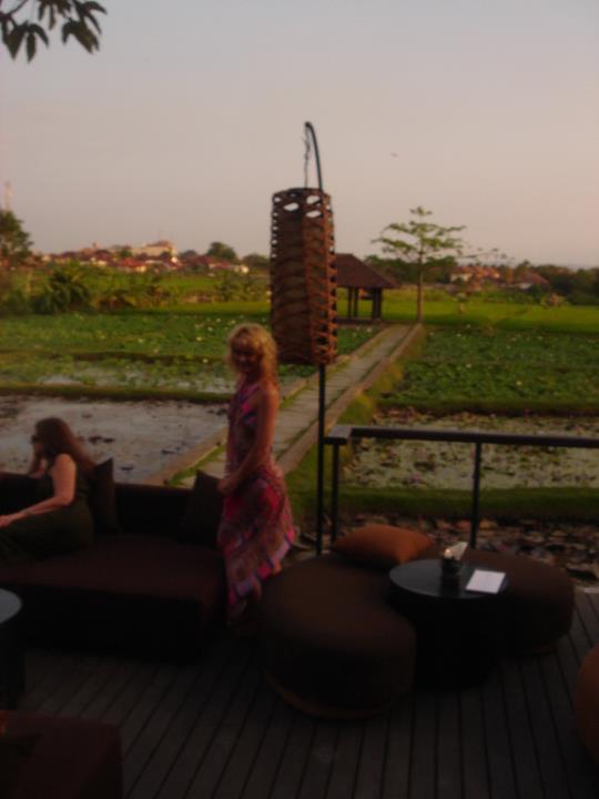 267377_10150747631540416_555784_n