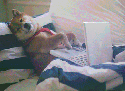 typing-dog-gif