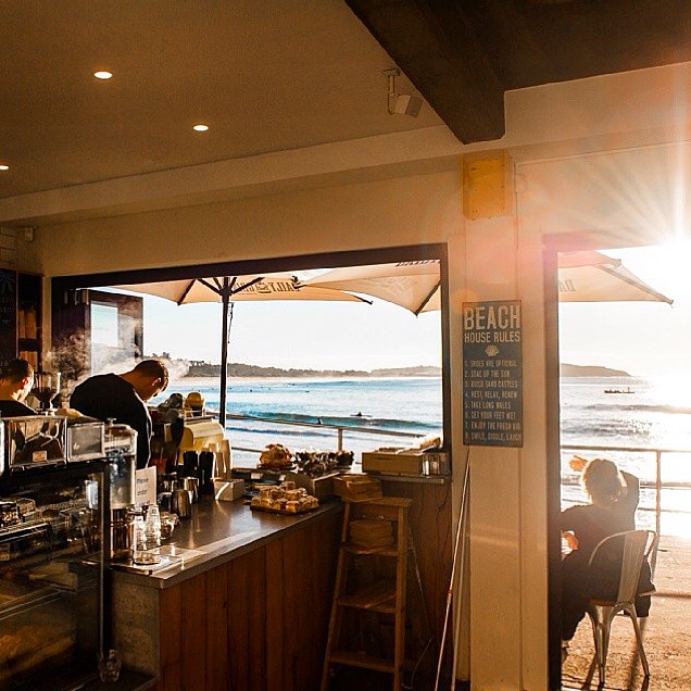 the-beach-shed-the-beach-shed-cafe-the-beach-shed-