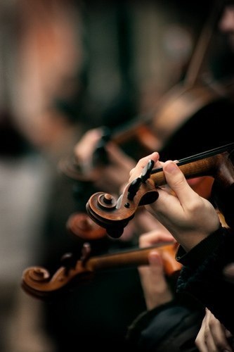 3cce8045ff1a9e33db0d8af05be94bd8