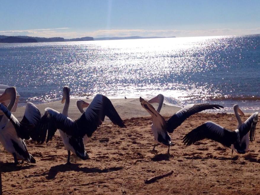 10471484_10154269672690416_736282084752223196_n