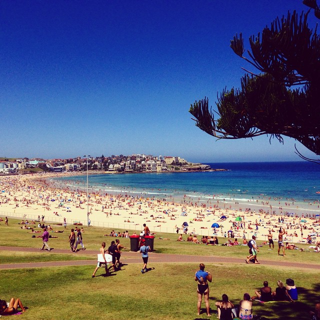 10891811_10155024993055416_149321890182613688_n