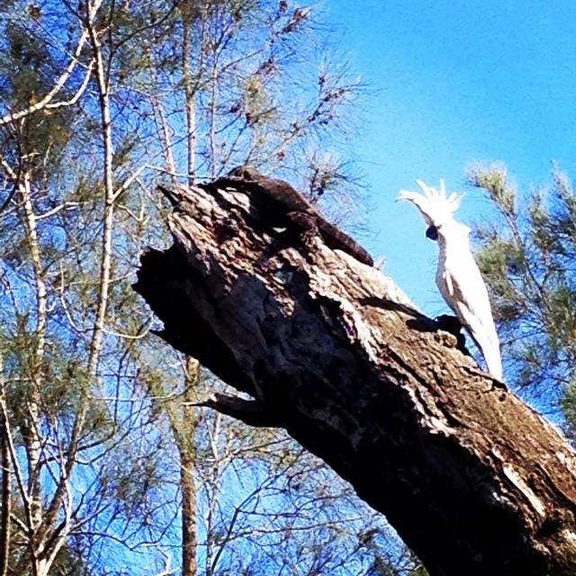 1458501_10154862790725416_5702225781136873765_n