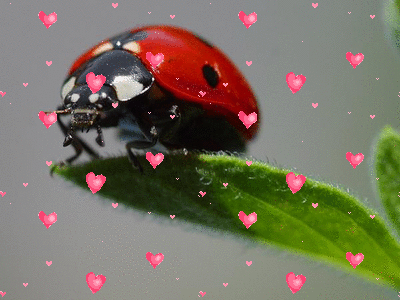 Valentines Day – Tips for Singles