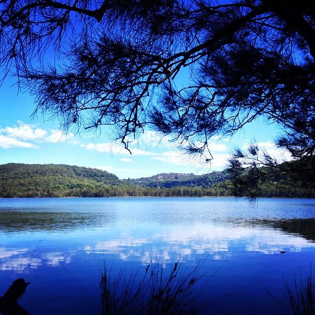 10923279_10155323191805416_8493146777748742705_n