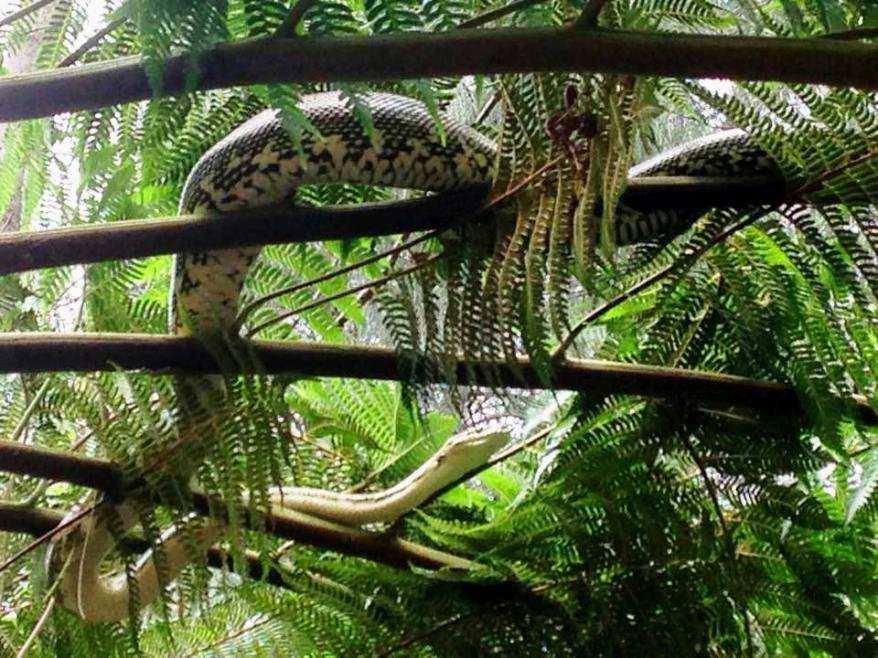 11113705_10155393397940416_1595978287016584841_n