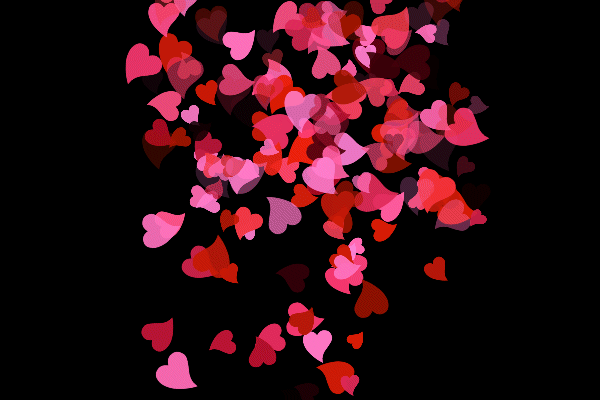 He Loves Me He Loves Me Not