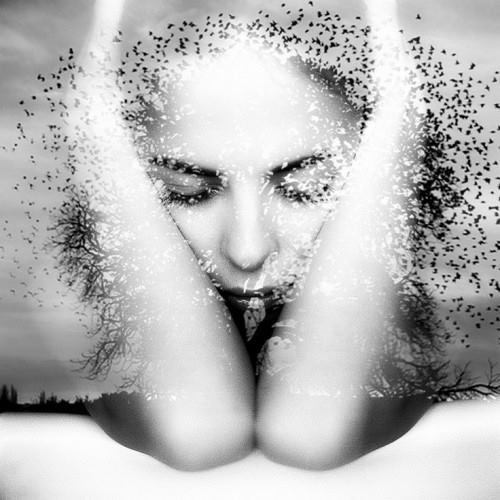 983729_10154306177445416_6061309754582502437_n