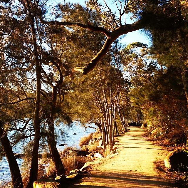 Meander Along With Me