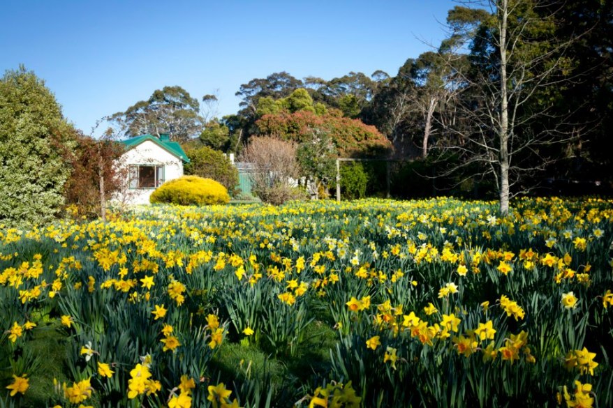 11072720_816630398390410_1295494134958214131_n