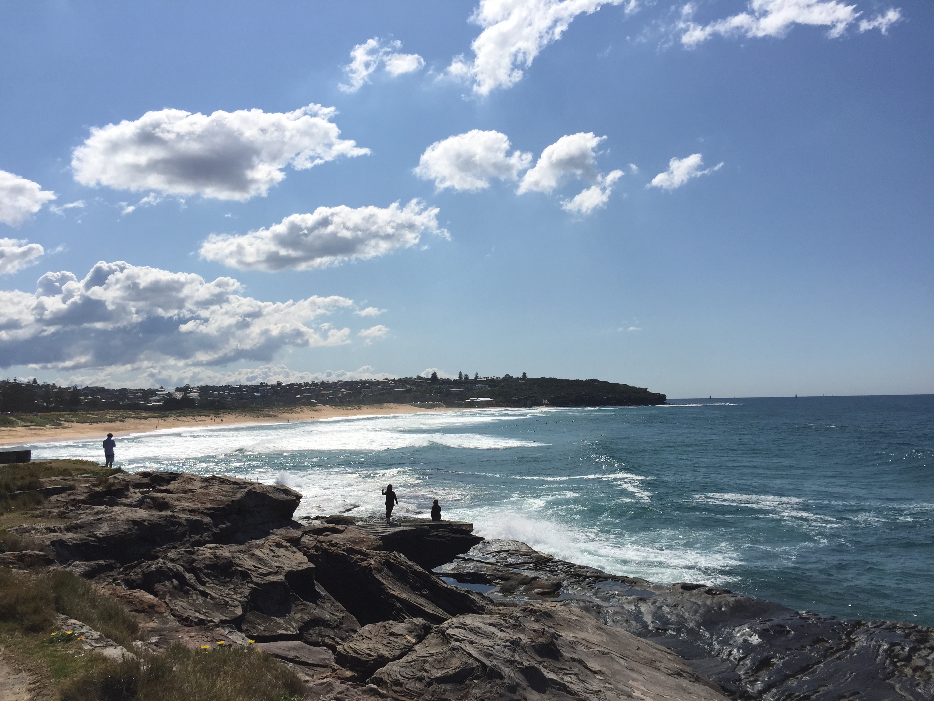 Surf at Curl Curl Beach in Sydney Today