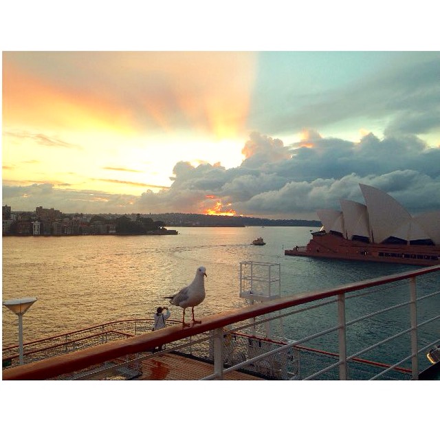 CruiseSouthPacific2015 385