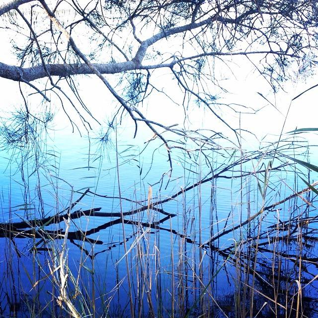 Lake reflections by Seafarrwide