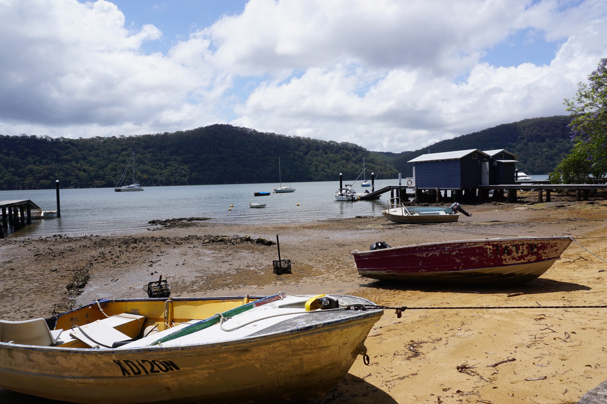 Dangar Island – Vivy’s Tours and Talks