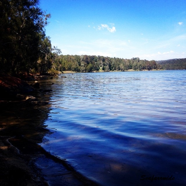 Ripples