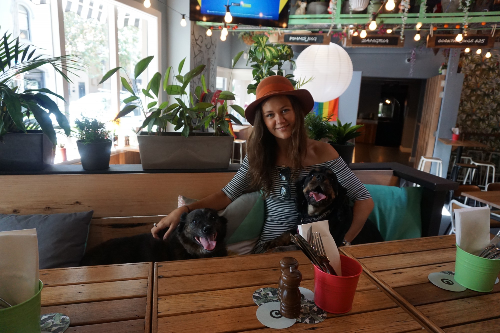 The Carrington, Dog Friendly Pub