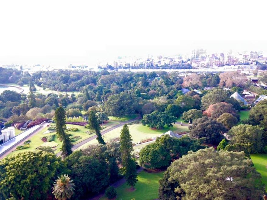 Picture credit - Seafarrwide