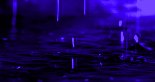 Wishes of Rain