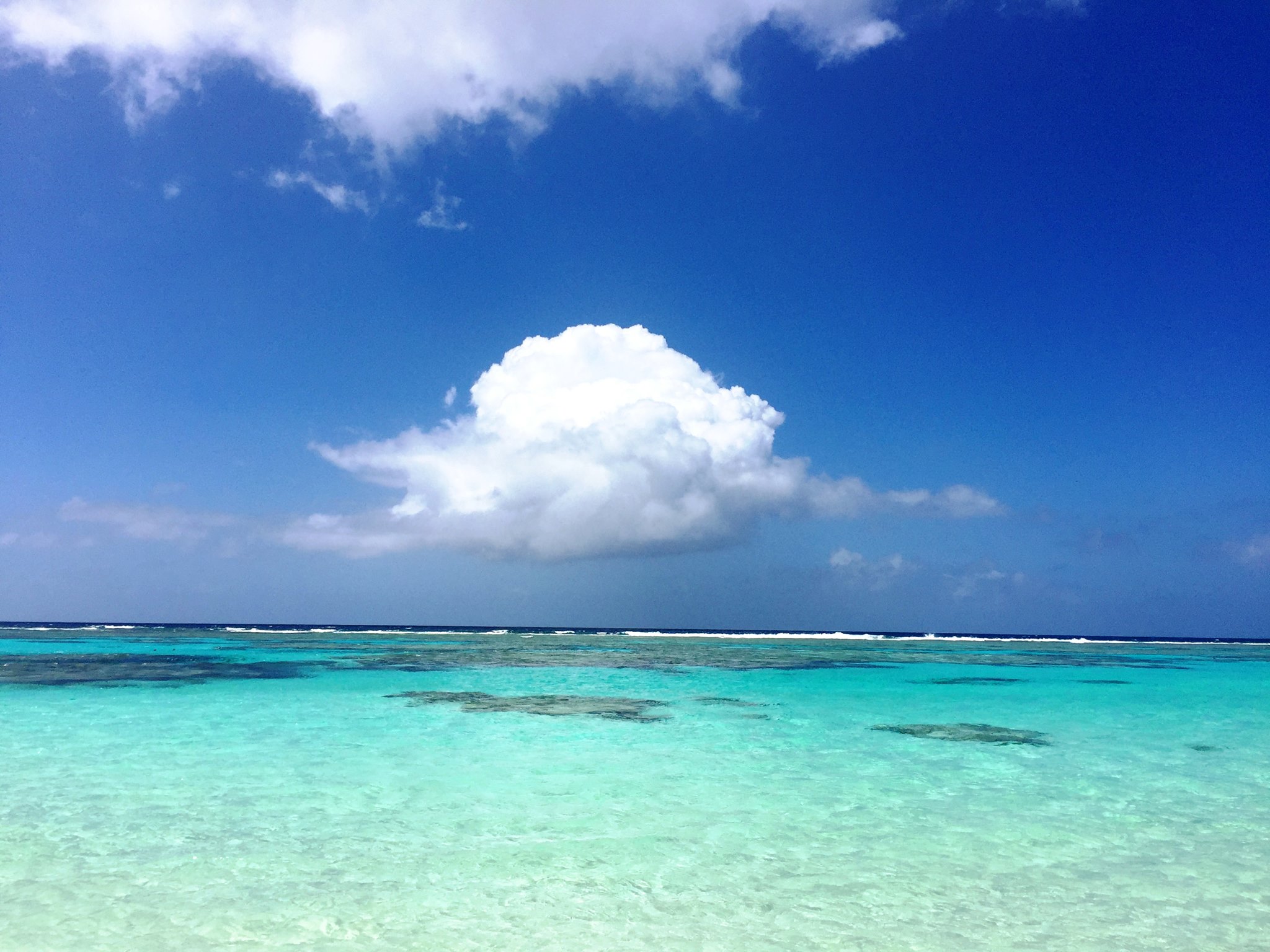 Oceans Embrace