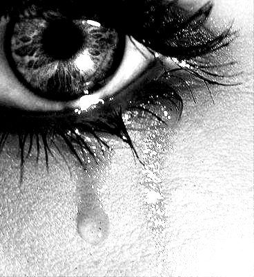 Image from https://au.pinterest.com/pin/105975397459664387/ Image from https://au.pinterest.com/pin/105975397459664387/