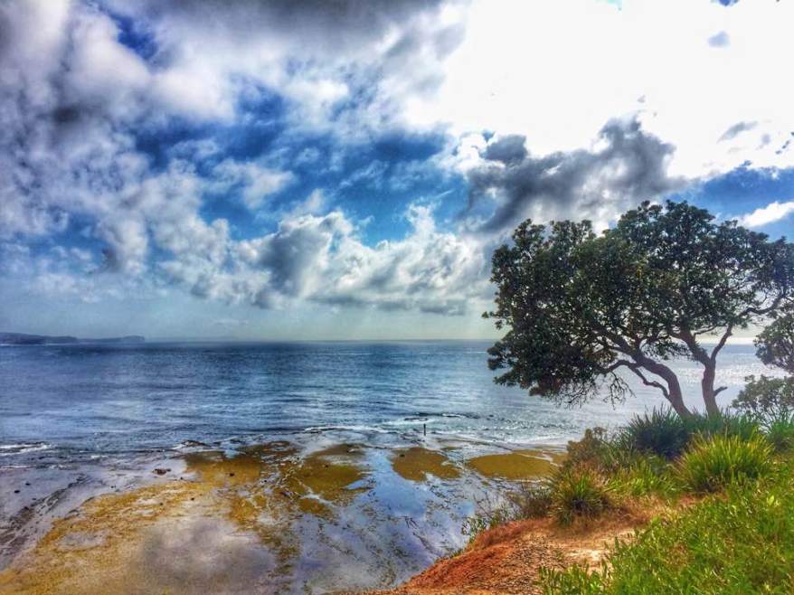 travel-pic-sydney-seafarrwide