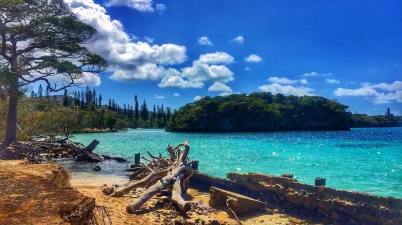 isle-of-pines-image-by-seafarrwide-wendy-norman