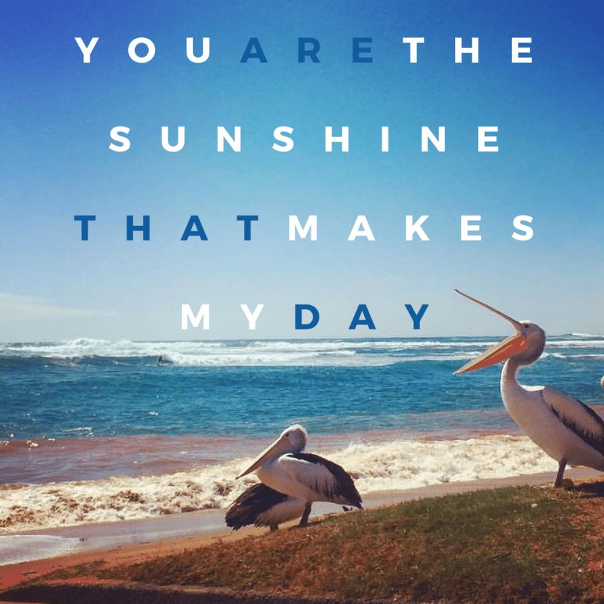 Ocean-image- by-Seafarrwide-Wendy-Norman