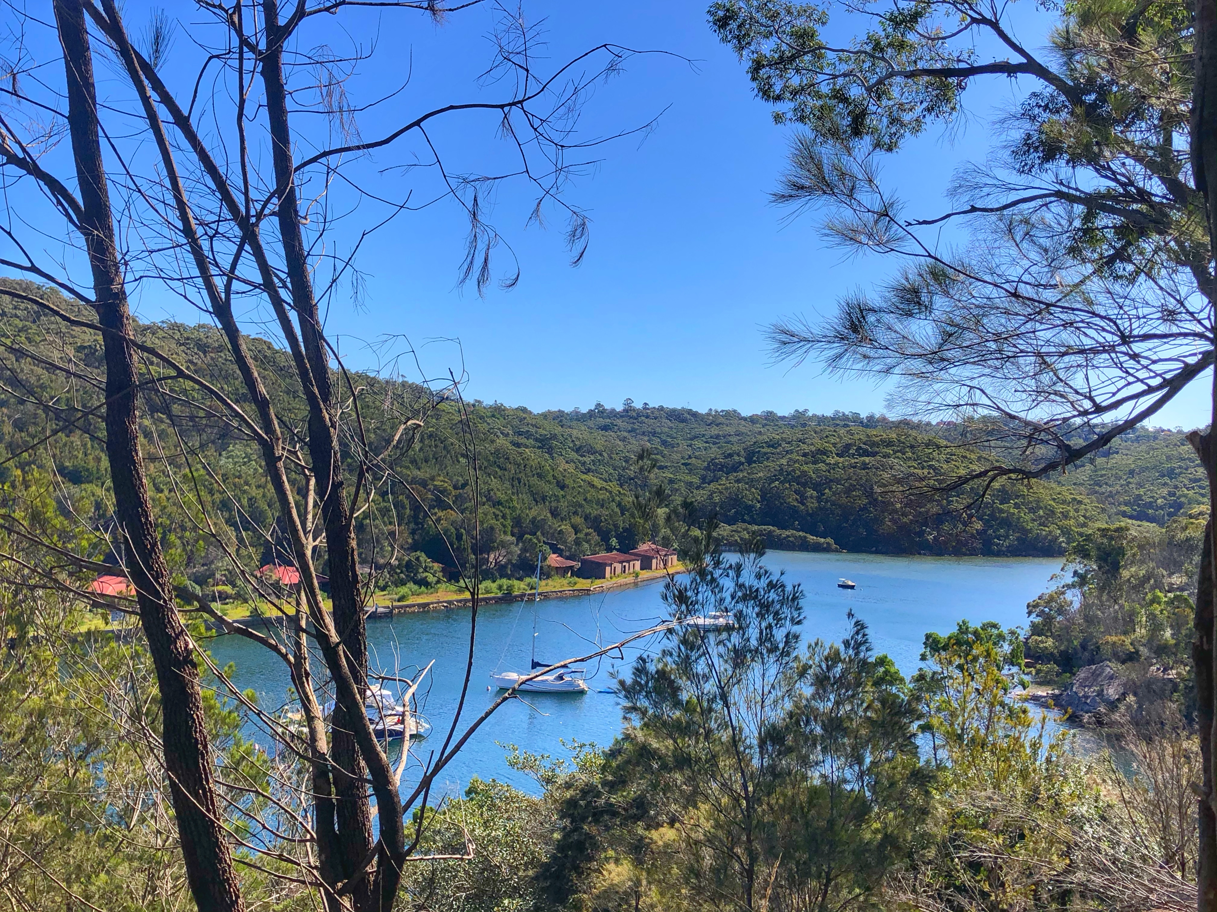 Seaforth to The Bluff Lookout – Walking Trail